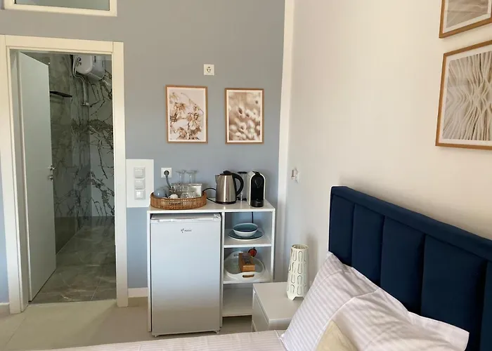 公寓 Artemis 希马拉